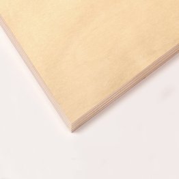 CONTREPLAQUÉ PEUPLIER CLASSE 3 B/BB 250X122 22MM COLLAGE CLASSE 3 MILIEU HUMIDE