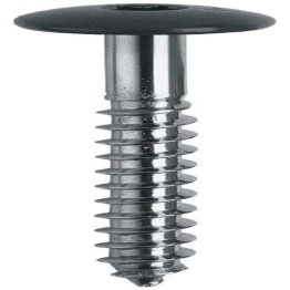 ISOMAX BOÎTE 250 VIS TWS D12 4,8X38 - 0161