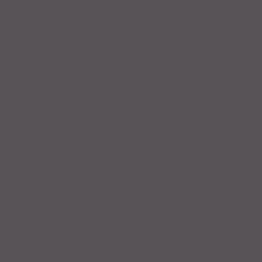 Stratifié compact Polyrey G059 FA 10mm 3070x1240mm Gris orage Reysipur