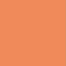 Stratifié compact Polyrey G078 FA 12,5mm 3070x1240mm Goyave Reysipur