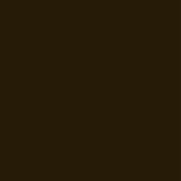 Stratifié compact Polyrey 005 FA 10mm 3070x1240mm Noir Reysipur