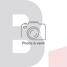 Contreplaqué pin elliotis choix c+/c 250x125cm 20mm