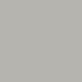 Bande de chant ABS Polyrey 2x22mm 100ml G003 / 19M Gris perle non-encollé lisse Nordlinger réf. 015132